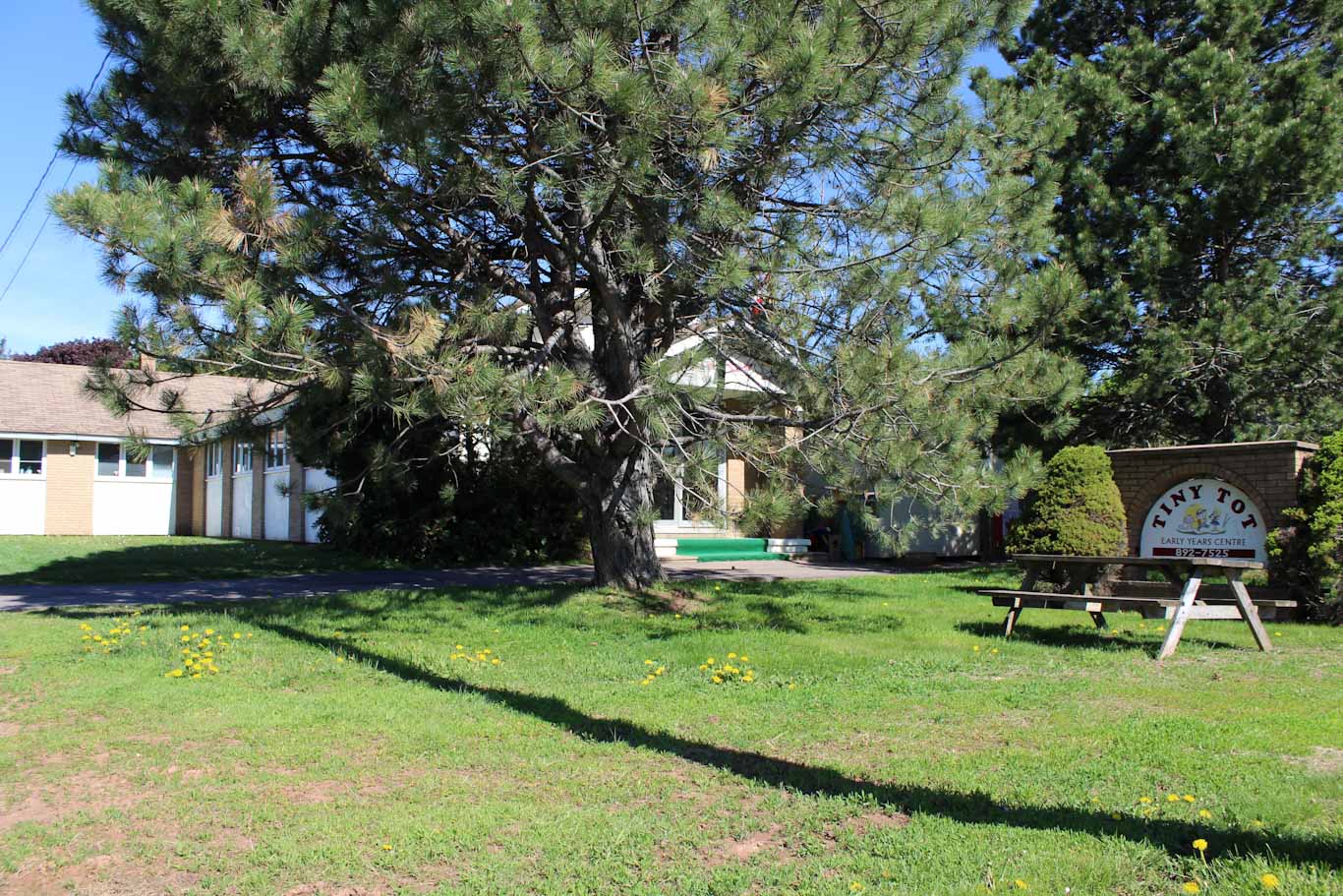 Tiny Tot Kensington Road